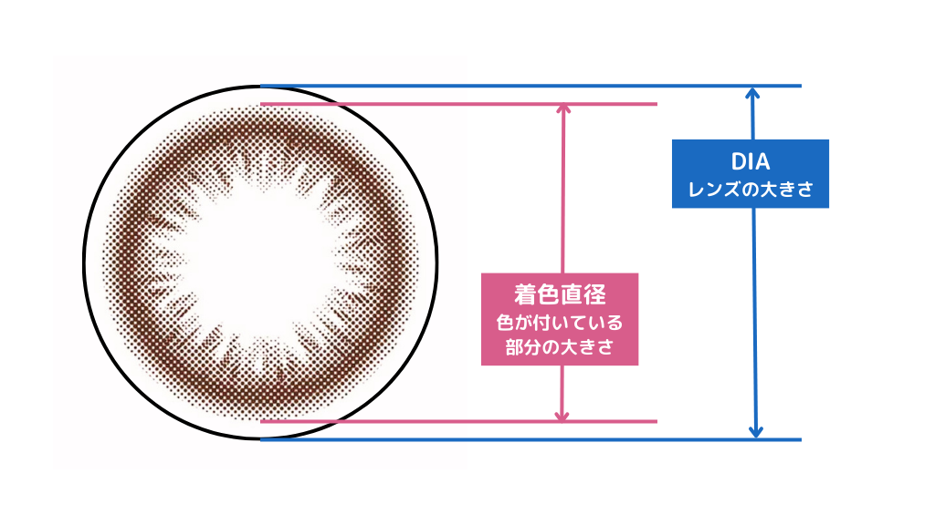 DIAと着色直径